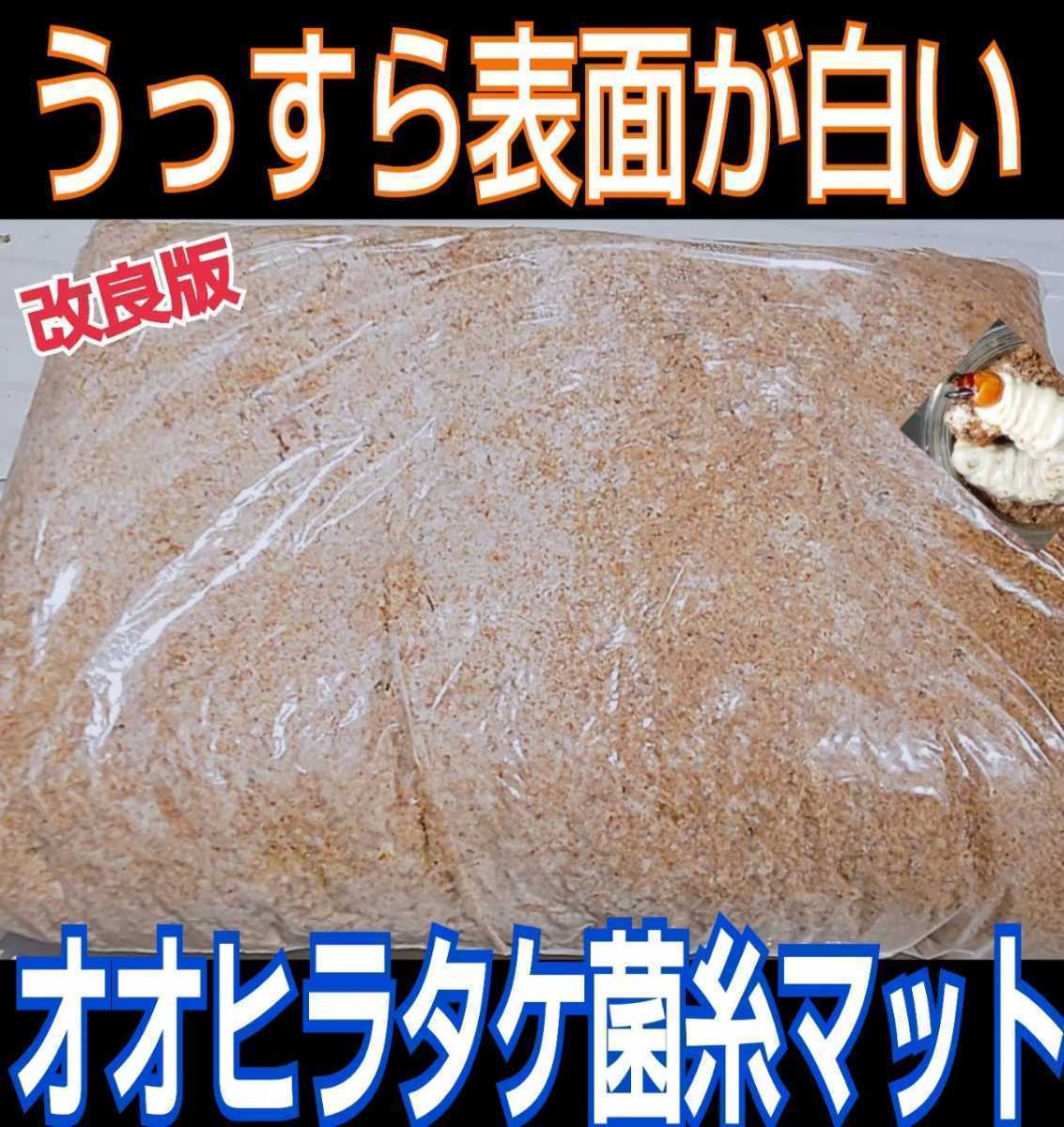 オオヒラタケ菌床粉砕クワガタマット【10L】幼虫が大きくなる！瓶やプリンカップに詰めるだけ！菌糸瓶より経済的です！オオクワ、ヒラタに