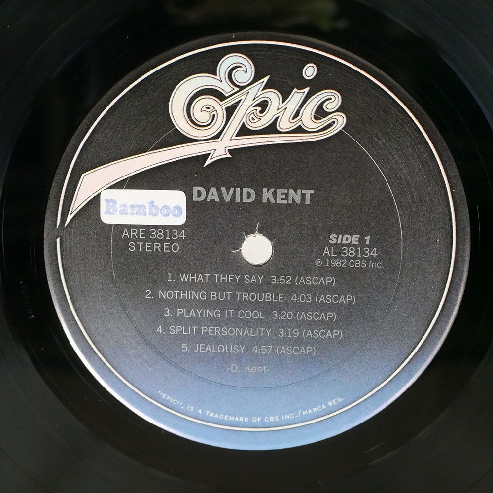 DAVID KENT/DAVID KENT/EPIC ARE38134 LP_画像2