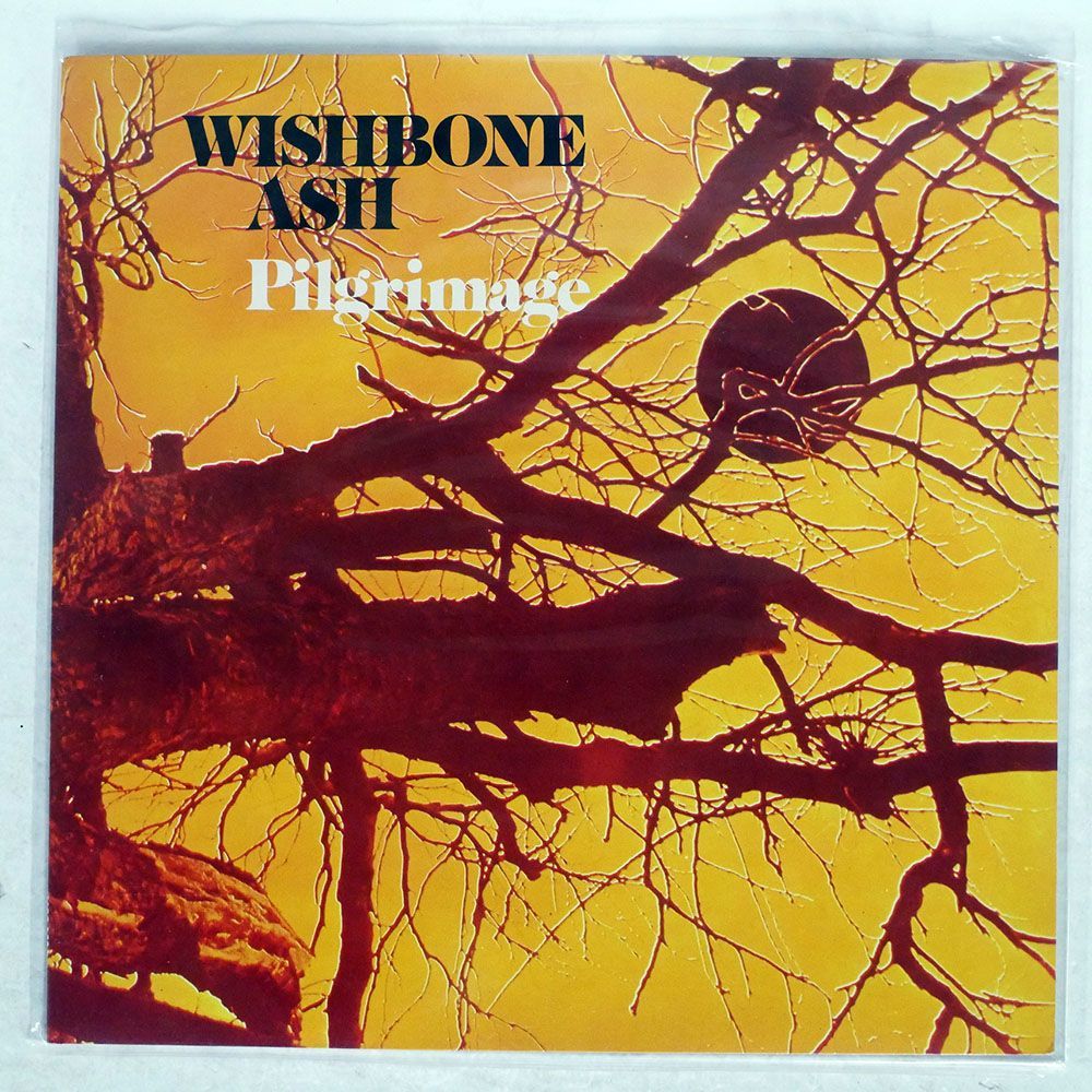 WISHBONE ASH/PILGRIMAGE/MCA MCG3504 LP_画像1