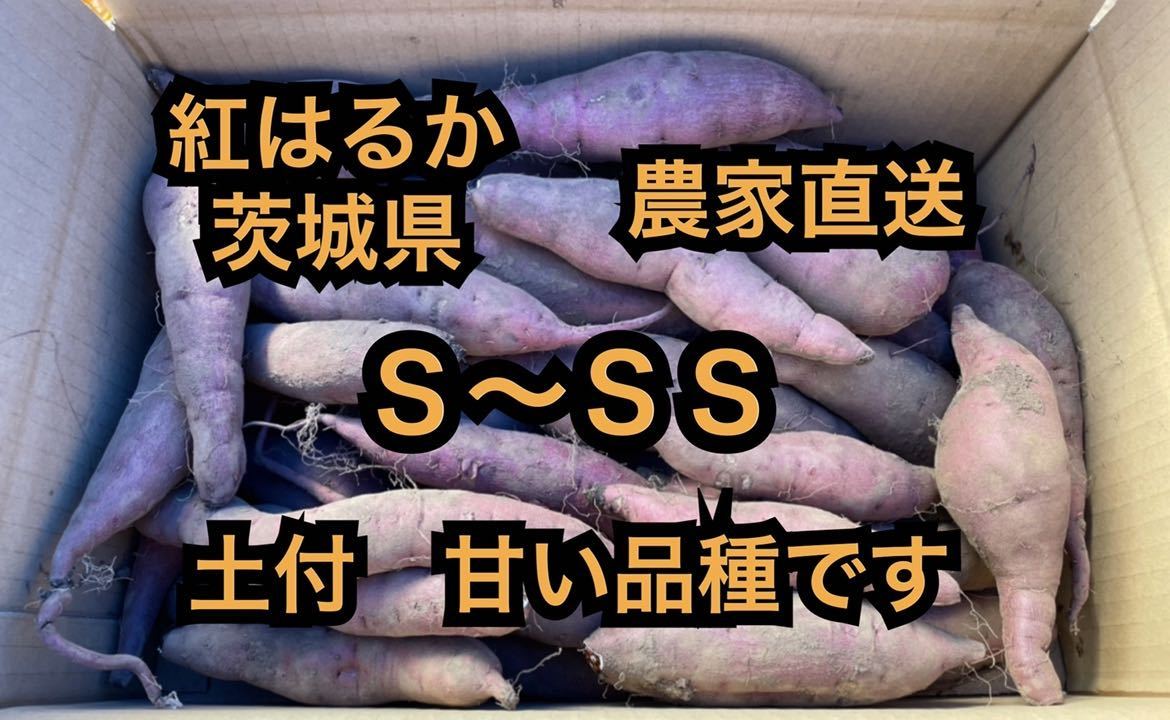 土付き　紅はるか　べにはるか　S・SSサイズ(50〜200g)　5kg さつまいも 茨城県産　5キロ　長期保管向け　追熟_画像5