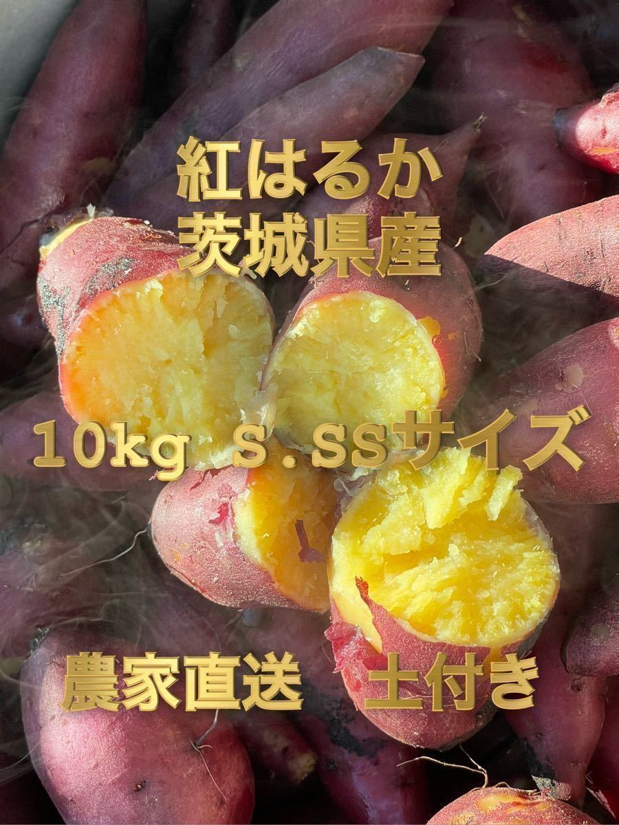 土付き　紅はるか　べにはるか　S・SSサイズ(50〜200g)　5kg さつまいも 茨城県産　5キロ　長期保管向け　追熟_画像3