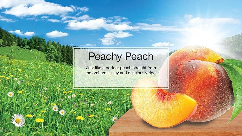 リトルツリー エアーフレッシュナー Peachy Peach ピーチィーピーチ5枚セット