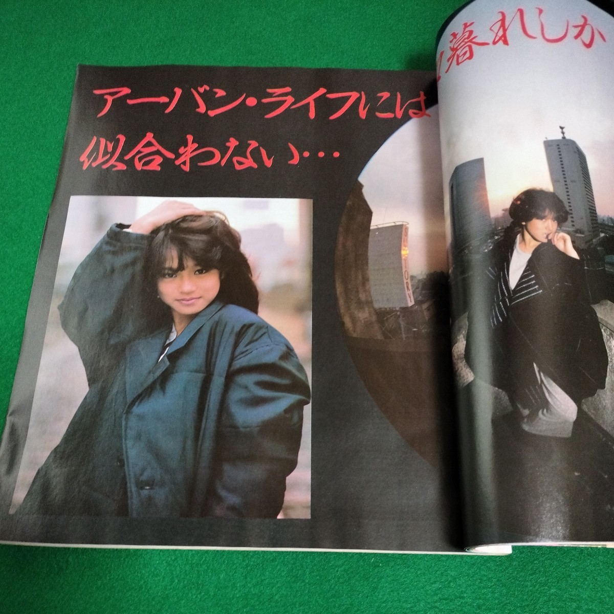 近代映画 1985年4月号　中森明菜　近藤真彦　松田聖子　田原俊彦　岡田有希子_画像6