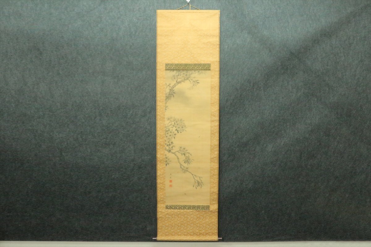 掛軸 作者不明 桜画 日本画 骨董品 古美術品 2906bz_画像1