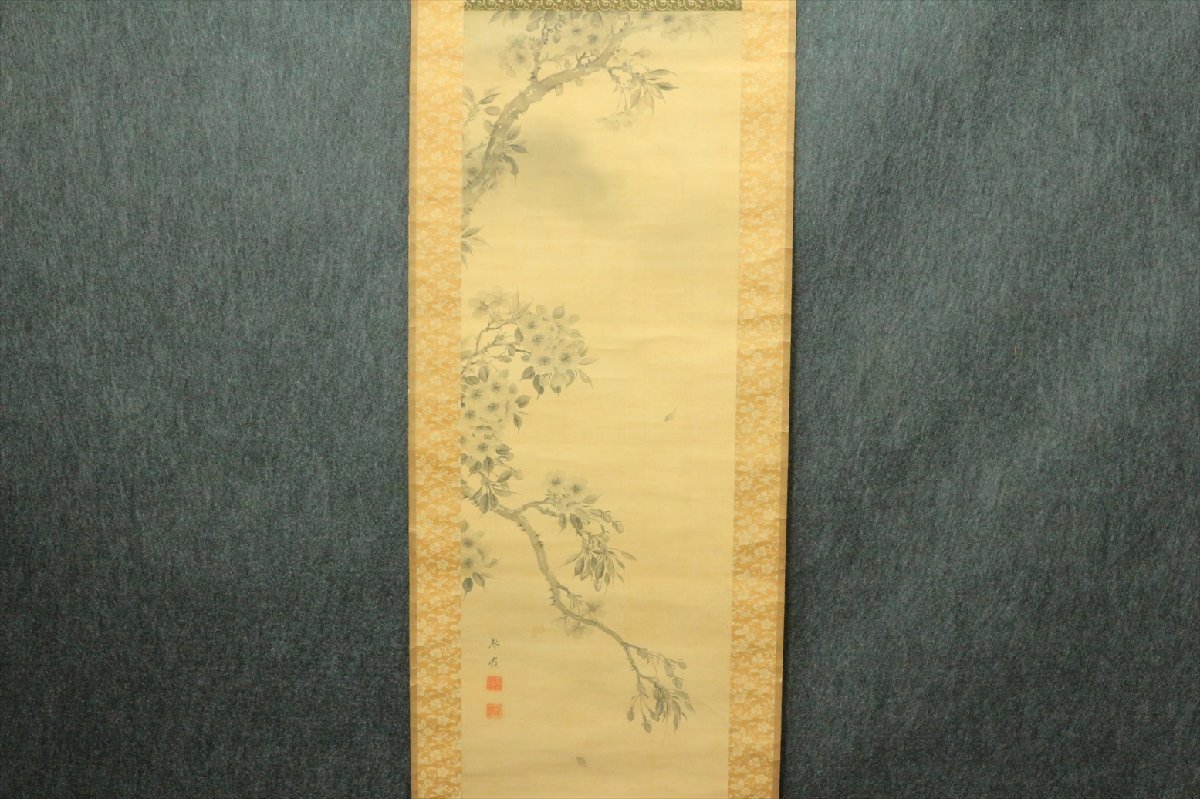 掛軸 作者不明 桜画 日本画 骨董品 古美術品 2906bz_画像3