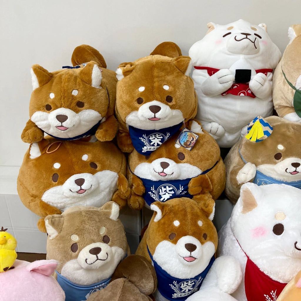 RK788)忠犬もちしば ぬいぐるみ 大量セット まとめ売り 現状品 おかか うめ きなこ ごま もなか さくら こむぎ あんこ つな やまと 柴犬 _画像2