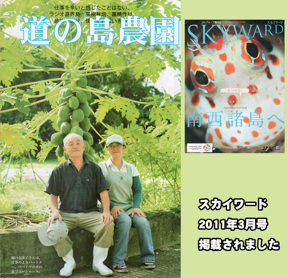 粗糖（生ザラメ）やさしい味でミネラル豊富です（今年・2023年産）（喜界島の農家から発送）45袋- 落札累計 042 道の島農園_画像3