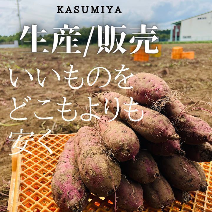 新物 農家直送 10kg さつまいも 紅はるか 茨城県産 訳あり品 甘い_画像2