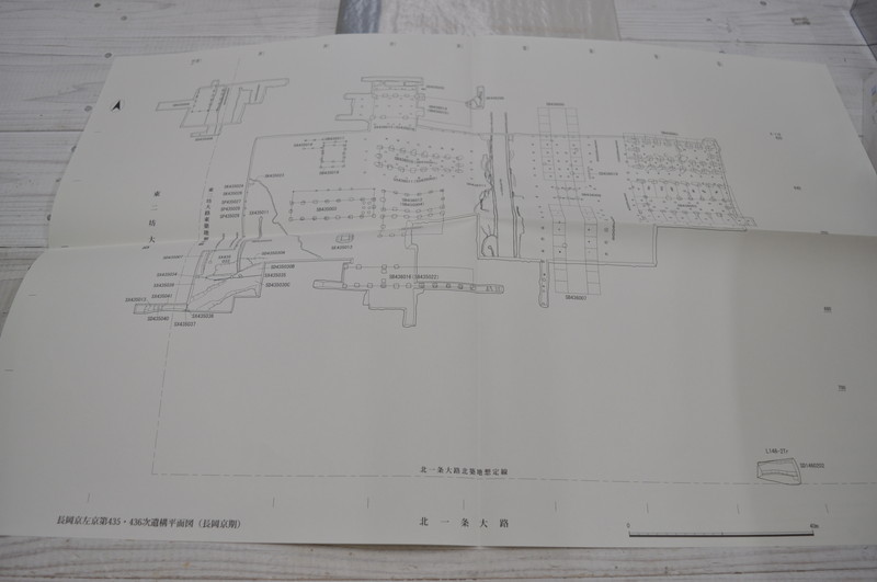 ★長岡京左京東院跡の調査研究　（古代学研究所研究報告　7）★古代学協会　函入！本体良好！附図付です。_画像10