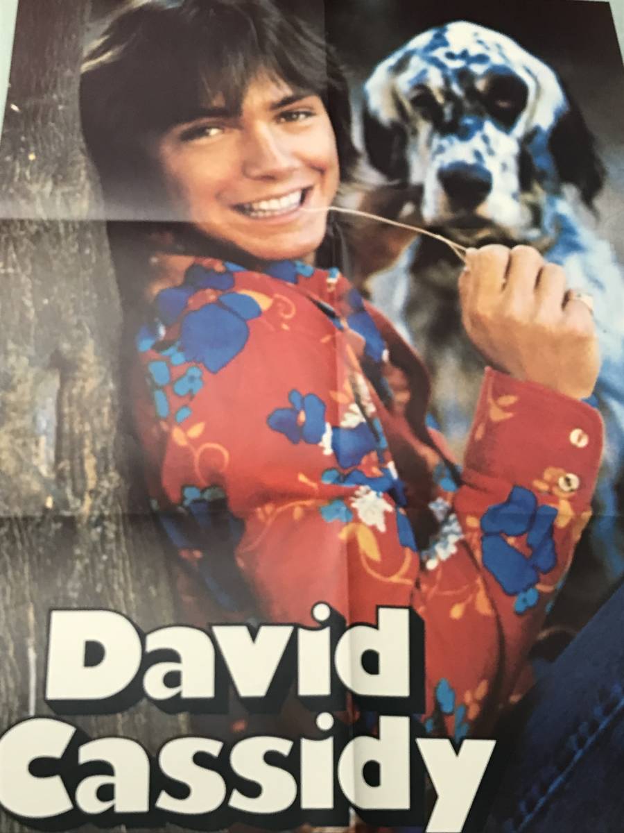 DAVID CASSIDY　デビッド・キャシディ　DREAMS ARE NUTHIN' MORE THAN WISHES　夢のつぶやき　ポスター付　10点以上の同梱発送で送料無料_画像3
