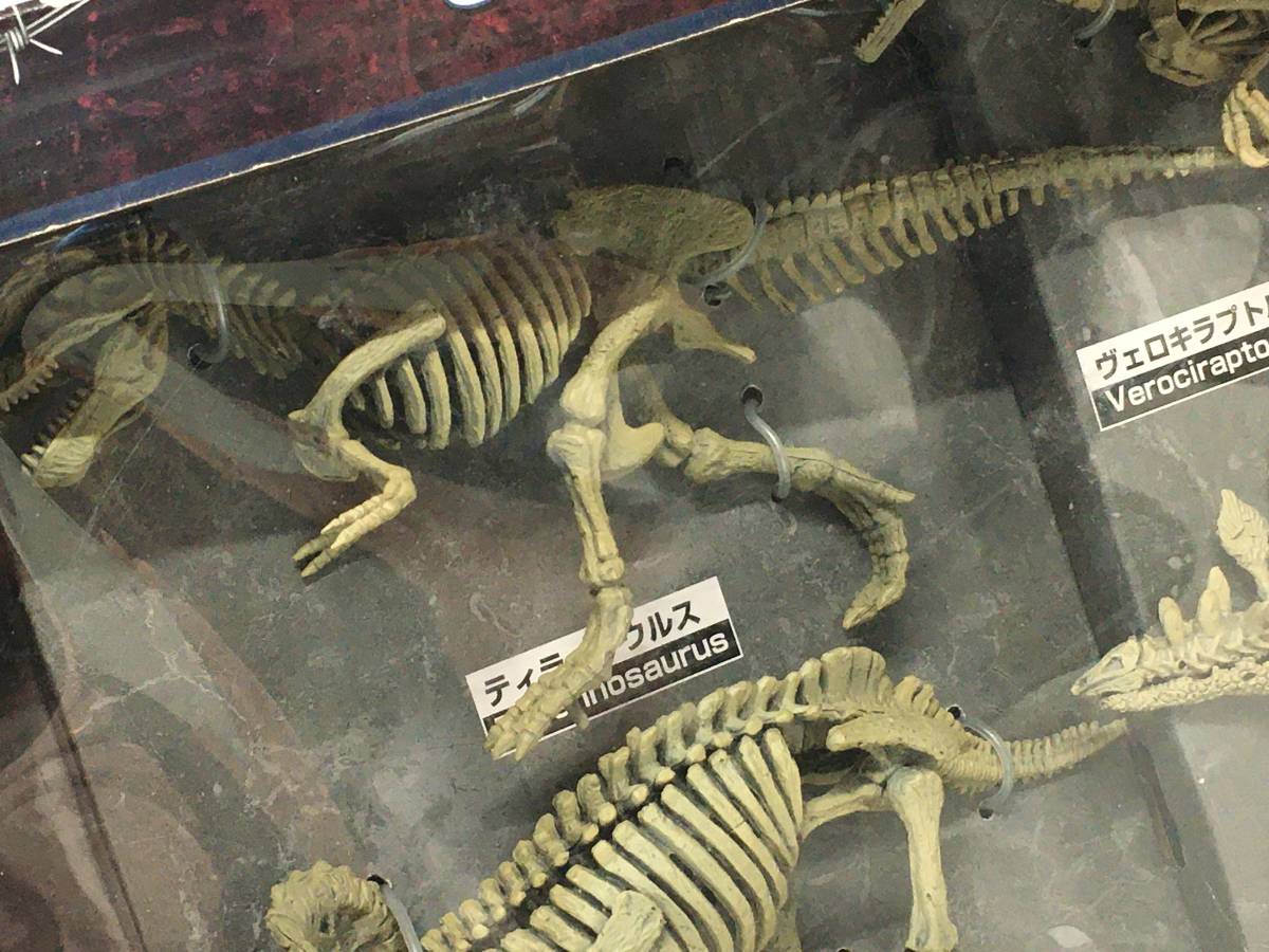 ジュラシックパーク フィギュア ミュージアムボーンコレクション FOSSIL MUSEUM BONE MODEL COLLECTION USJ 恐竜骨格フィギュア_画像2