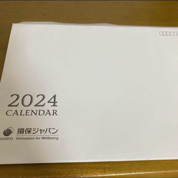 損保ジャパンカレンダー　2024 守っていきたい地球の光景 代理店名なしタイプ 2冊_画像4