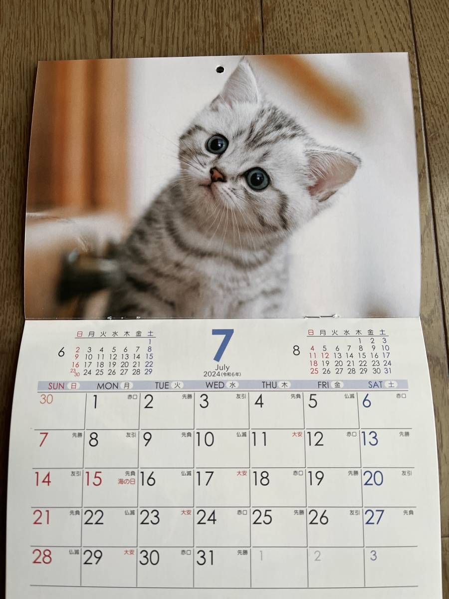 可愛い猫のカレンダー　2024年　壁掛け_画像2