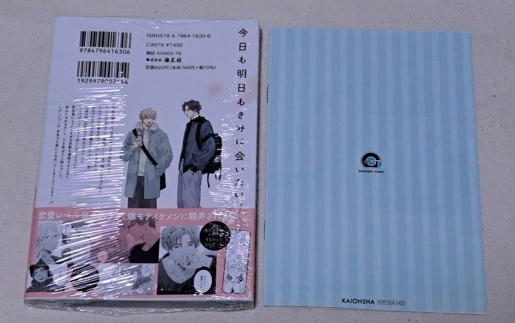 新品未開封　明日もきみに会いに行く　熊雪ふる　ペーパー　小冊子　特典　コミック　bl