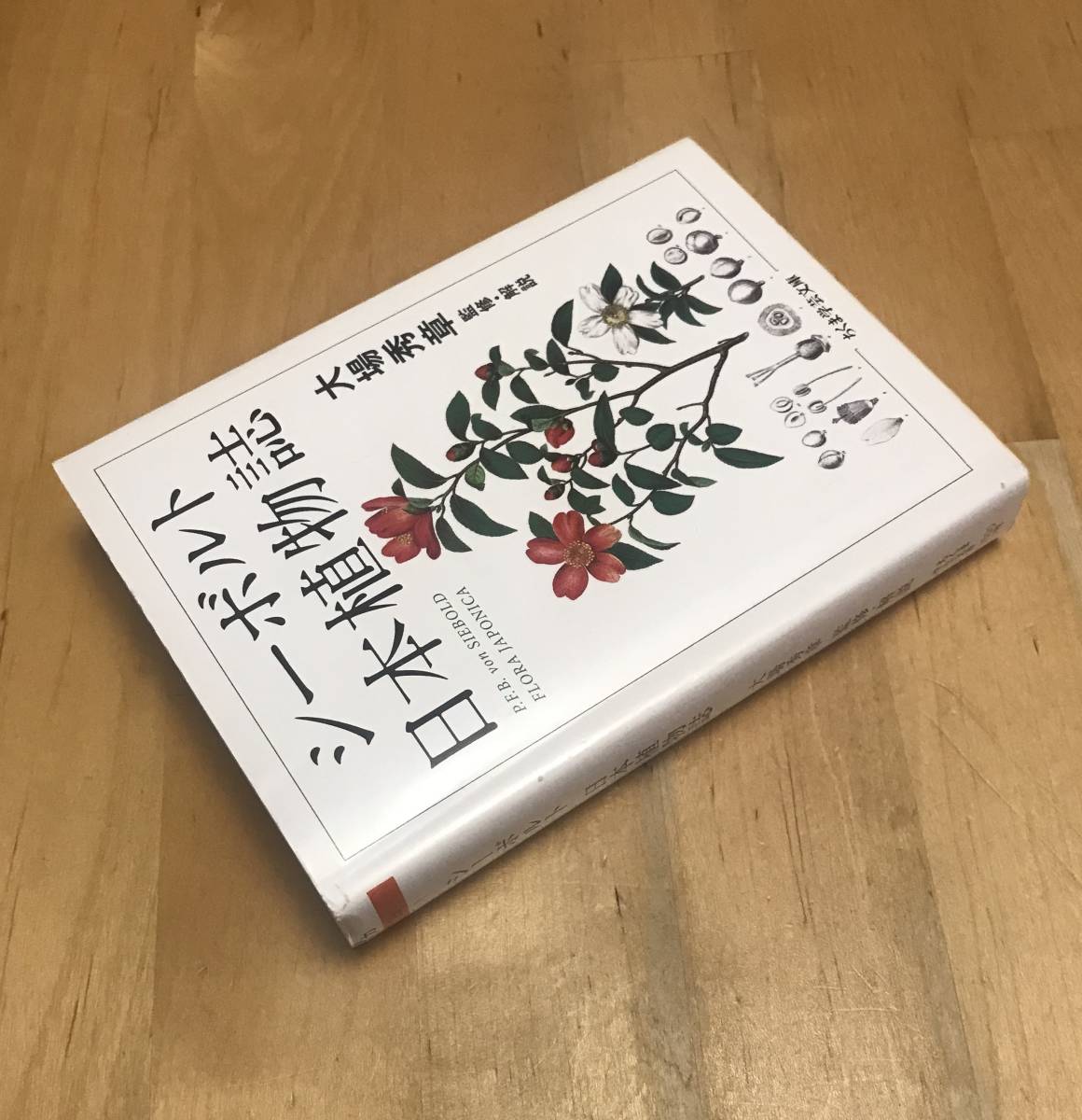 古本　シーボルト　日本植物誌　ちくま学芸文庫　大場秀章_画像2