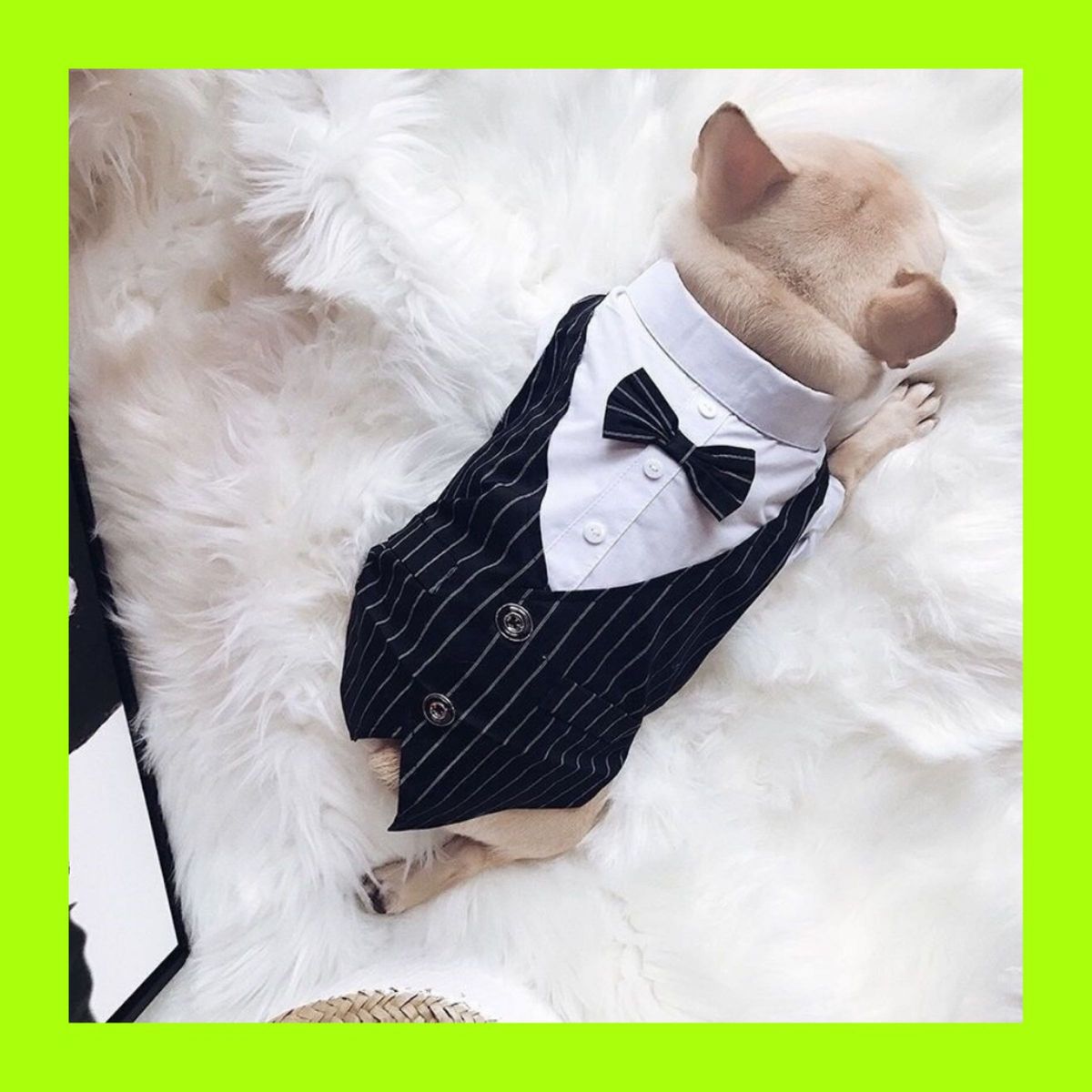 ★ラスト1点★【人気】犬の服　フォーマル　リボン付きタキシード　正装　結婚式　冠婚葬祭　黒　L