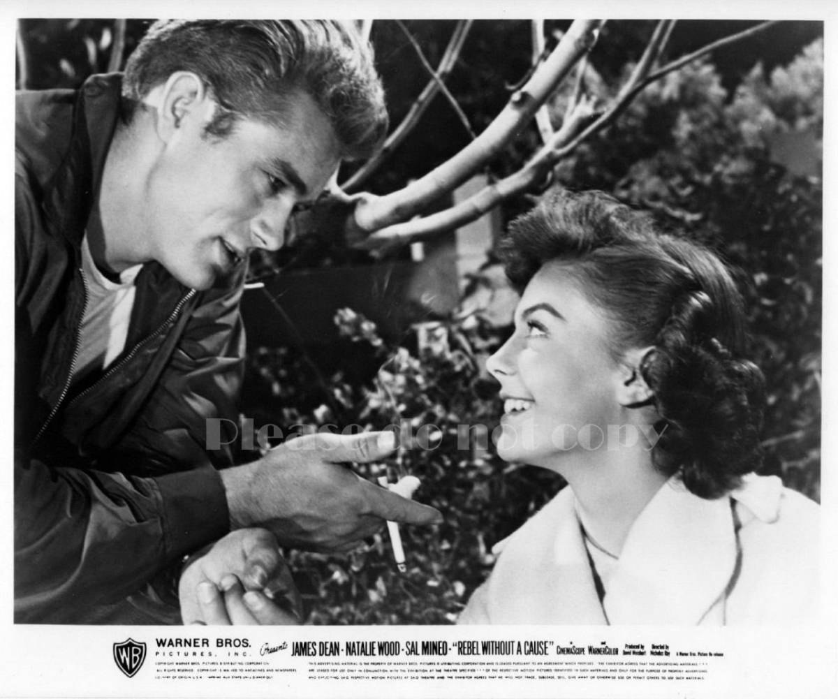 1955年 映画 理由なき反抗 ジェームズ・ディーン ナタリー・ウッド モノクロ　大きなサイズのフォト_画像1