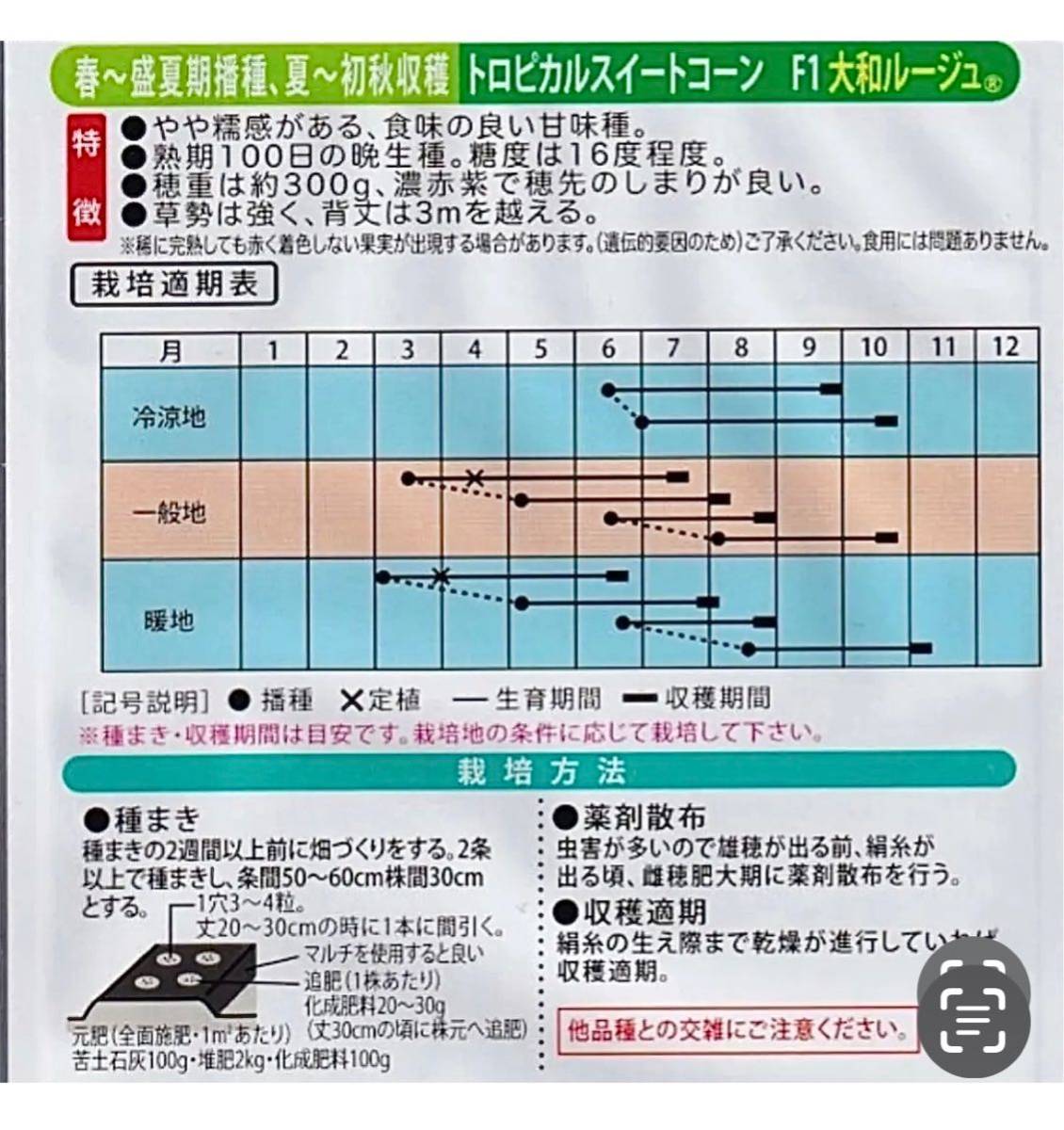 大和ルージュの種 20粒 日本初！ 赤いスイートコーン_画像2