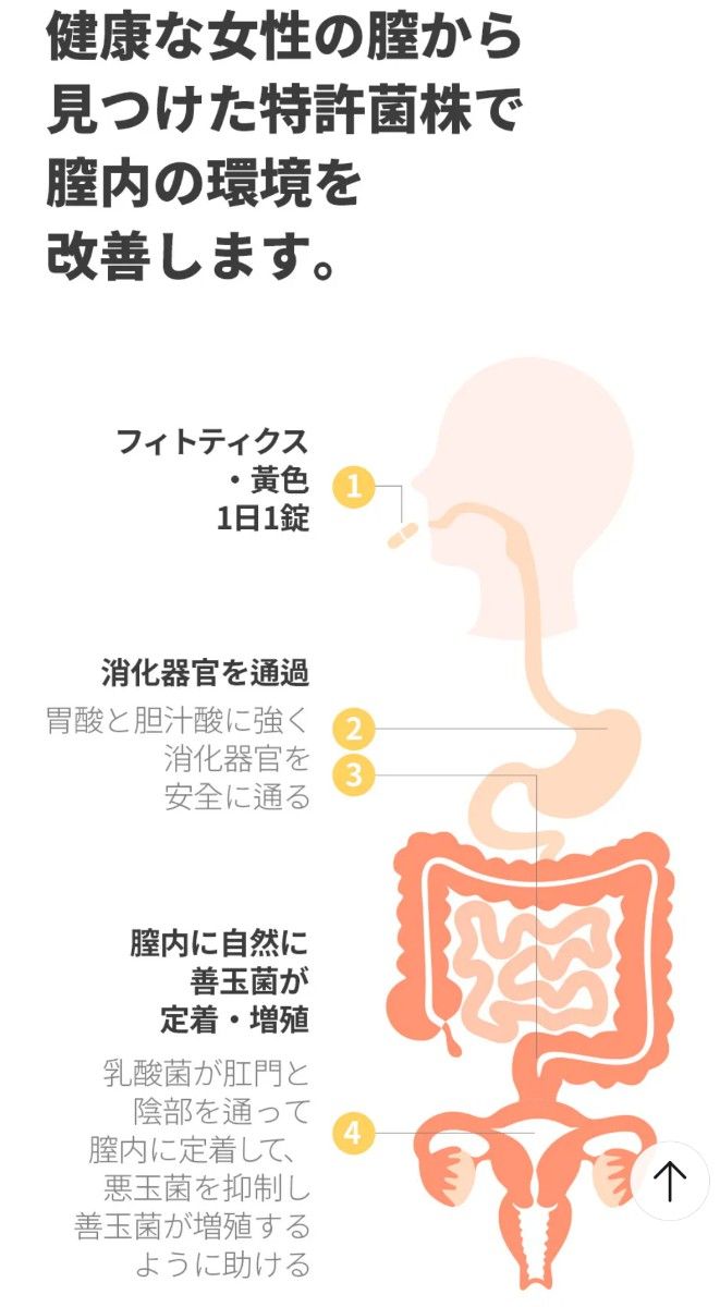 新品 未開封 フィトティクス 黄色 イエロー サプリ 善玉菌 腸内環境 膣 女性のための膣由来乳酸菌