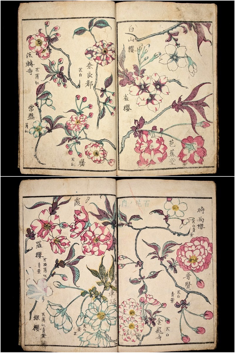 ○江戸期 萬象写真図譜 彩色木版画 東都書林 玉蘭斎貞秀画 図鑑 ○江戸期 萬象写真図譜 彩色木版画 東都書林 玉蘭斎貞秀画 図鑑