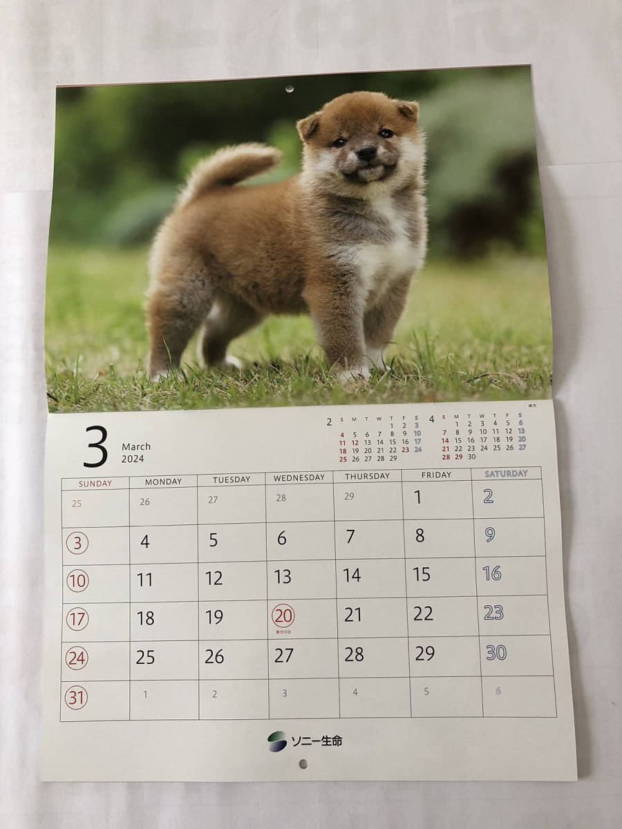 未使用★ソニー生命　ゆかいな子犬たち　２０２4年カレンダー　壁掛けタイプ_画像4