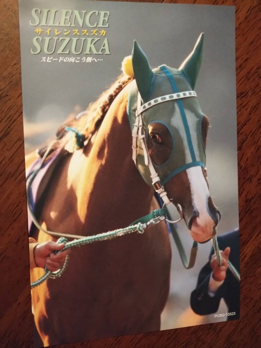 ◎競馬DVD　名馬コレクションシリーズ「サイレンススズカ　スピードの向こう側へ…」全レース・ノーカット完全収録　ミニピンナップ付き_画像3