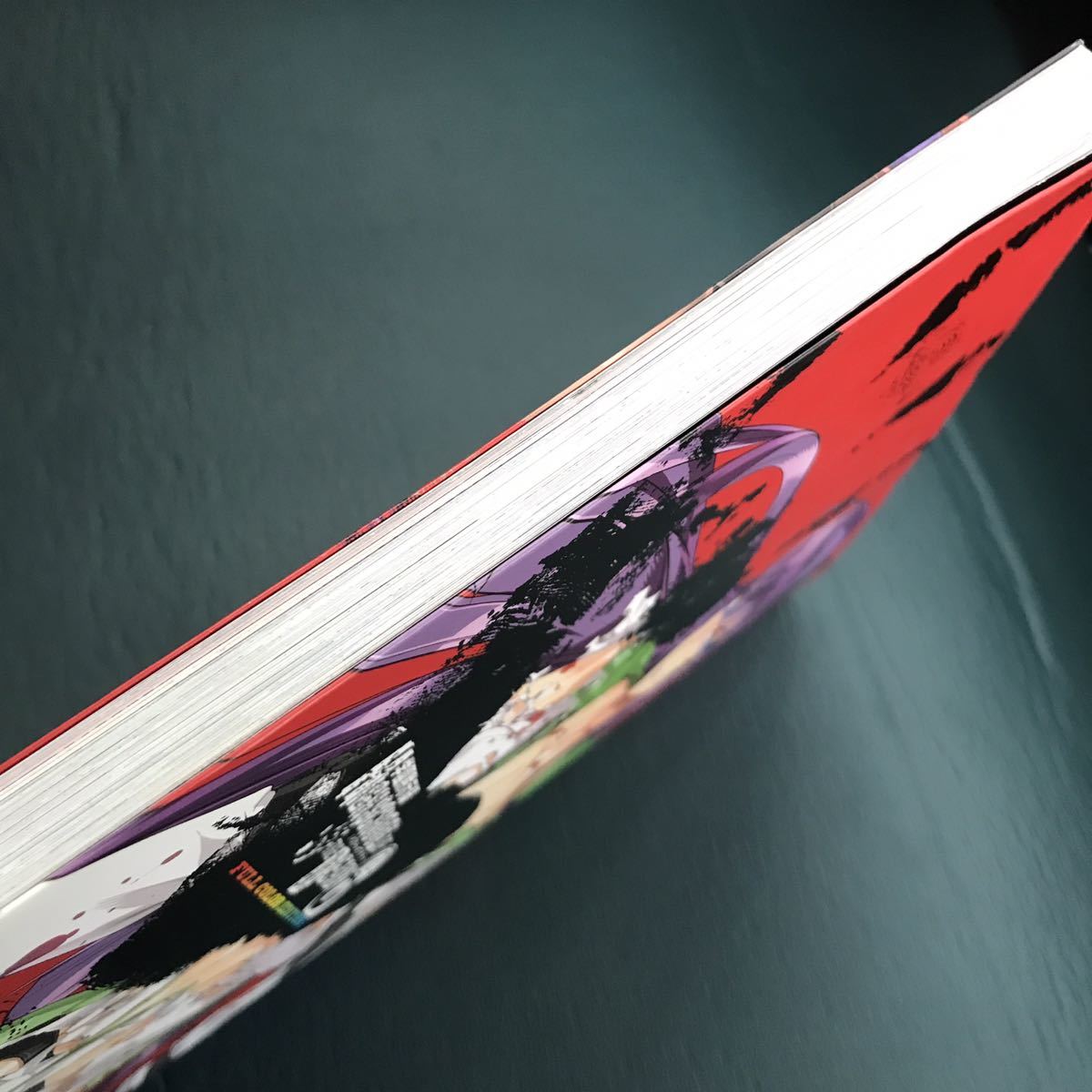 学園黙示録 HIGHSCHOOL OF THE DEAD FULL COLOR EDITION 6 学園黙示録 HIGHSCHOOL OF THE DEAD FULL COLOR EDITION 6
