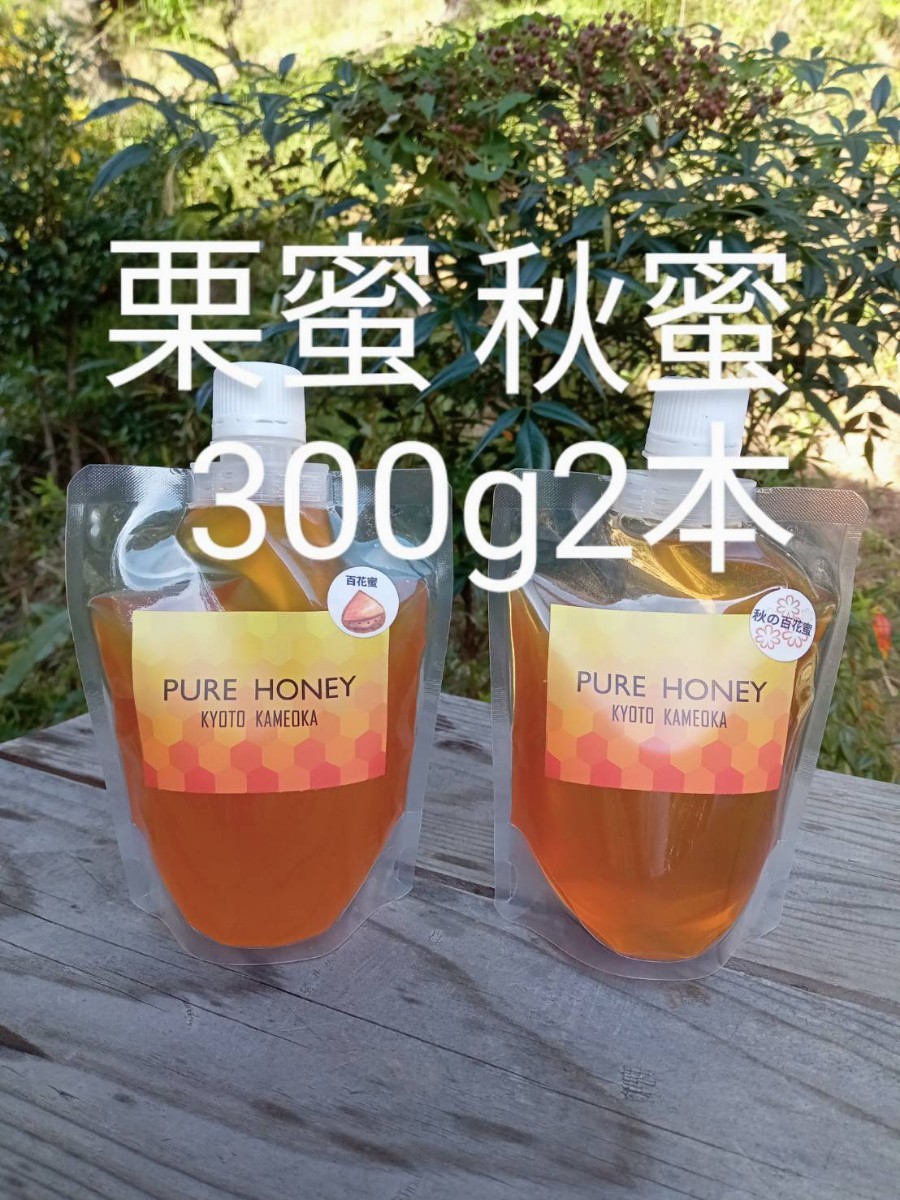 国産 純粋 蜂蜜 はちみつ 300g2本　 パウチ容器_画像1