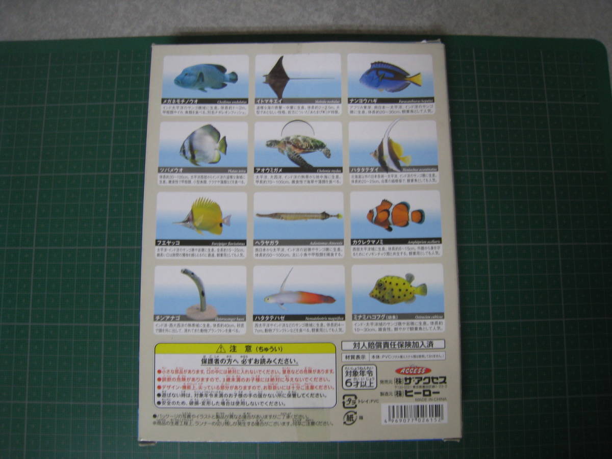立体海洋生物図鑑vol.1 ３D Pictorial Book　㈱ザ・アクセス　フィギュア　イトマキエイ　チンアナゴ他_画像3