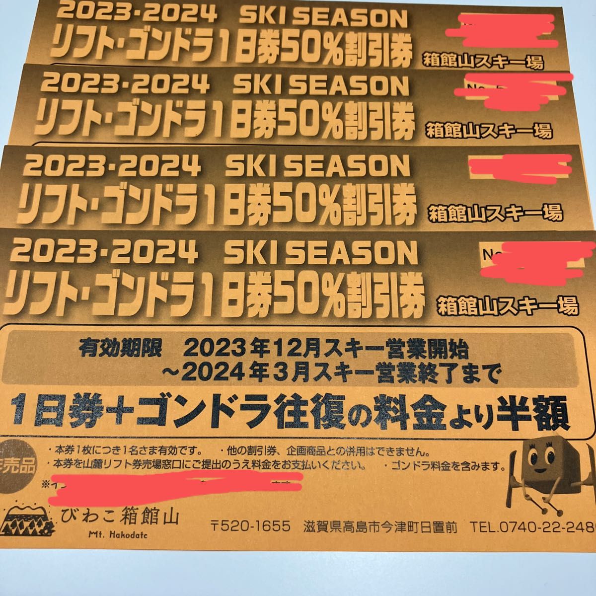 びわこ箱館山スキー場 リフト・ゴンドラ一日券50%割引券 ４枚