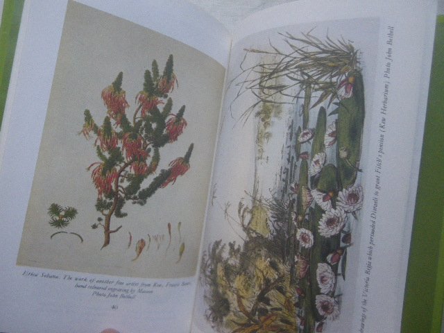  cue garden plant . history foreign book The Making of Kew Madeleine Bingham flower * plant . Britain ../botanika lure to garden /jozef* banks 
