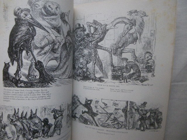 アーネスト・グリセット 19世紀 ヴィクトリア朝 イラスト 洋書 Ernest Griset Fantasies of a Victorian Illustrator 幻想画 挿絵/動物画_画像3
