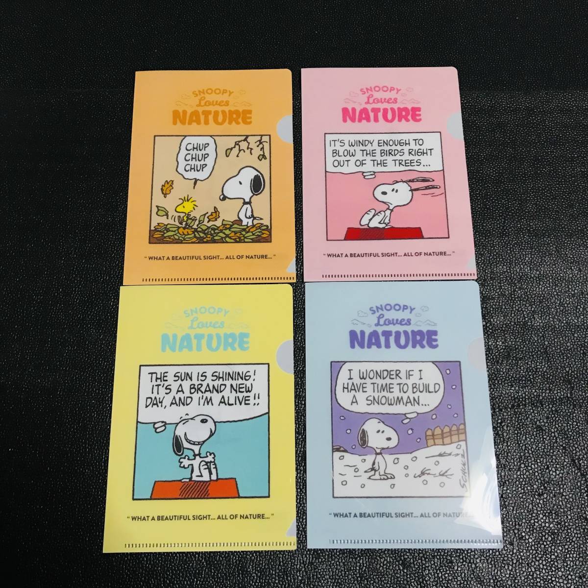 全種 コンプリート PEANUTS SNOOPY TOWN 限定 スヌーピータウン ウッドストック ノベルティ 非売品 特典 クリアファイル ミュージアム