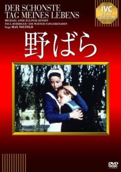 野ばら【字幕】 レンタル落ち 中古 DVD ケース無_画像1