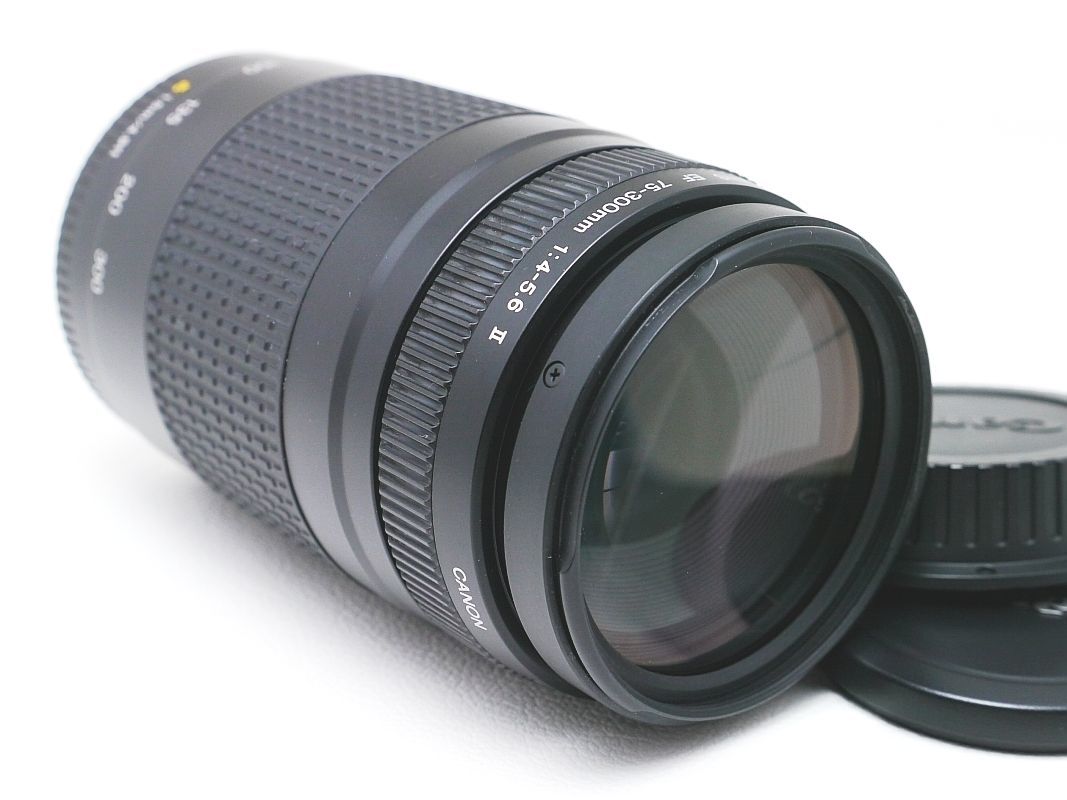 試写あり【実用良品】Canon EF 75-300mm F4-5.6 II USM 前後純正キャップ付き キャノン _画像2