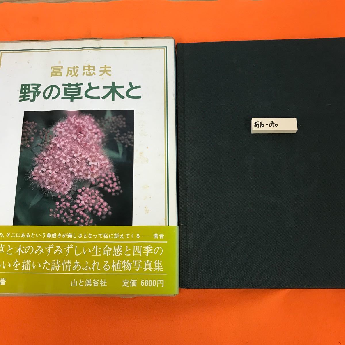 あ16-040 冨成忠夫 野の草と木と 山と渓谷社（染み有り、外箱汚れ染み有り）_画像1