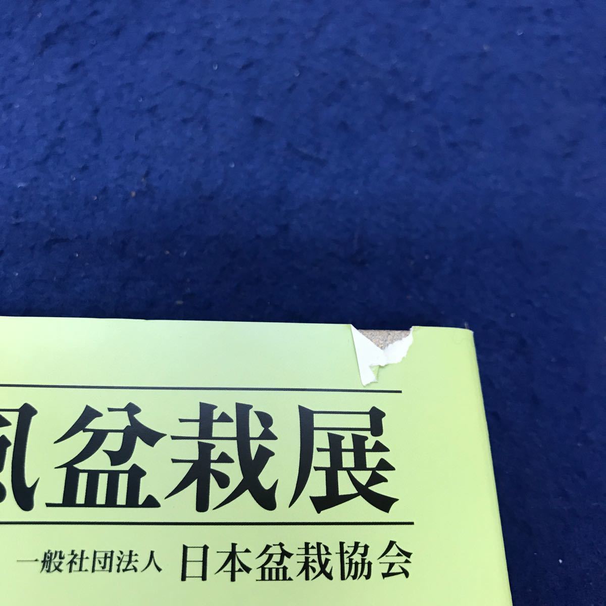 あ15-033 国風盆栽展 第94回 一般社団法人日本盆栽協会 カバーに破れあり_画像3