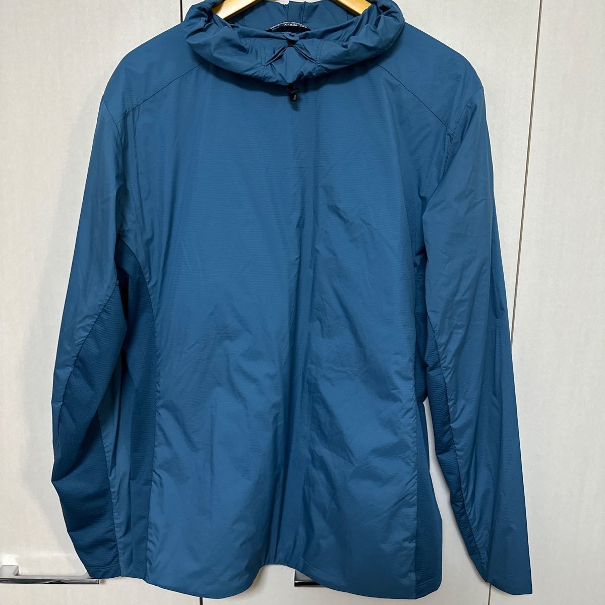 【希少】 アークテリクス ARC’TERYX アトム SL フーディ メンズ ARC'TERYX Atom SL Hoody 中綿ジャケット 『L』 国内正規品 HOODY_画像2