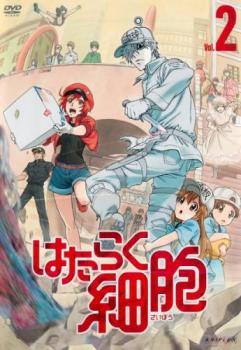 はたらく細胞 2(第2話、第3話) レンタル落ち 中古 DVD_画像1