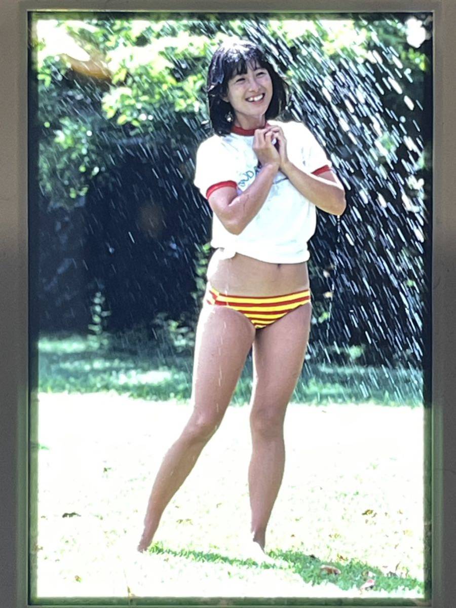 Yahoo!オークション - 河合奈保子 生写真 ポジフィルム スライド① Yahoo!オークション - 河合奈保子 生写真 ポジフィルム スライド①