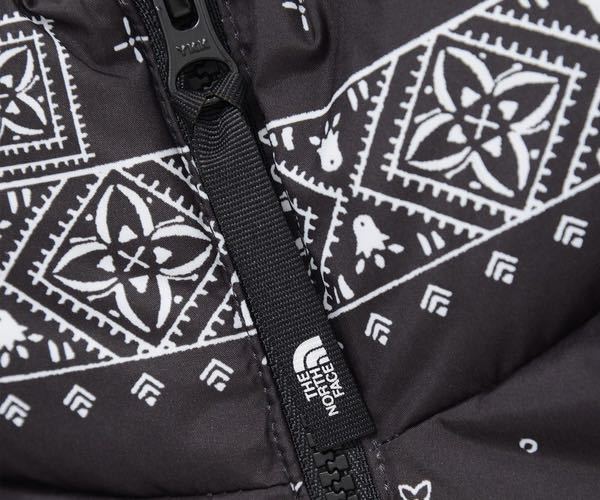 THE NORTH FACE ノースフェイス Lサイズ 海外限定 ペイズリー柄 THE NORTH FACE ノースフェイス Lサイズ 海外限定 ペイズリー柄