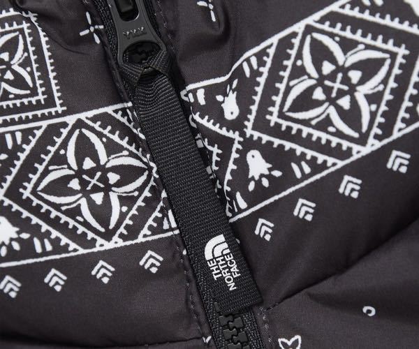 THE NORTH FACE ノースフェイス Lサイズ 海外限定 ペイズリー柄 バンダナ柄 総柄 刺繍 メンズ レディース ダウンジャケット ダウンコート L