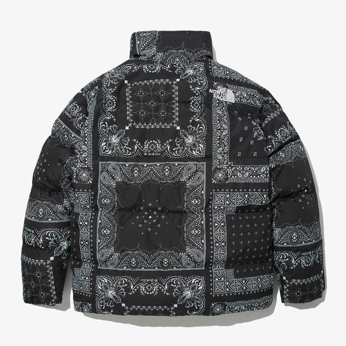 THE NORTH FACE ノースフェイス Lサイズ 海外限定 ペイズリー柄 THE NORTH FACE ノースフェイス Lサイズ 海外限定 ペイズリー柄