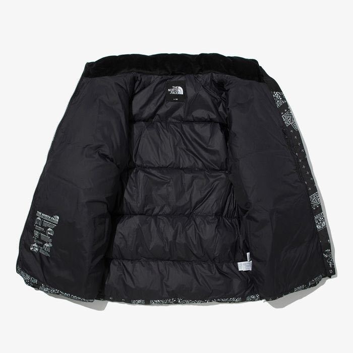 THE NORTH FACE ノースフェイス Lサイズ 海外限定 ペイズリー柄 バンダナ柄 総柄 刺繍 メンズ レディース ダウンジャケット  ダウンコート L