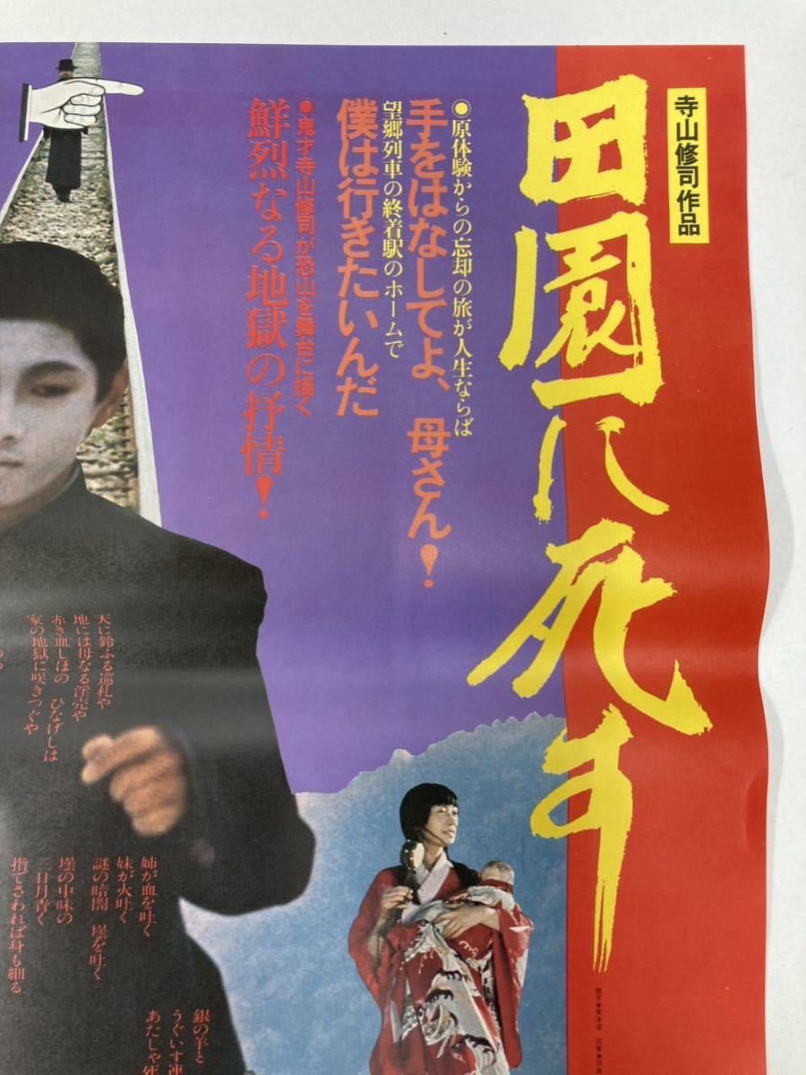 「田園に死す」B2判 映画ポスター 寺山修司 当時物 （管理番号p-90）_画像3