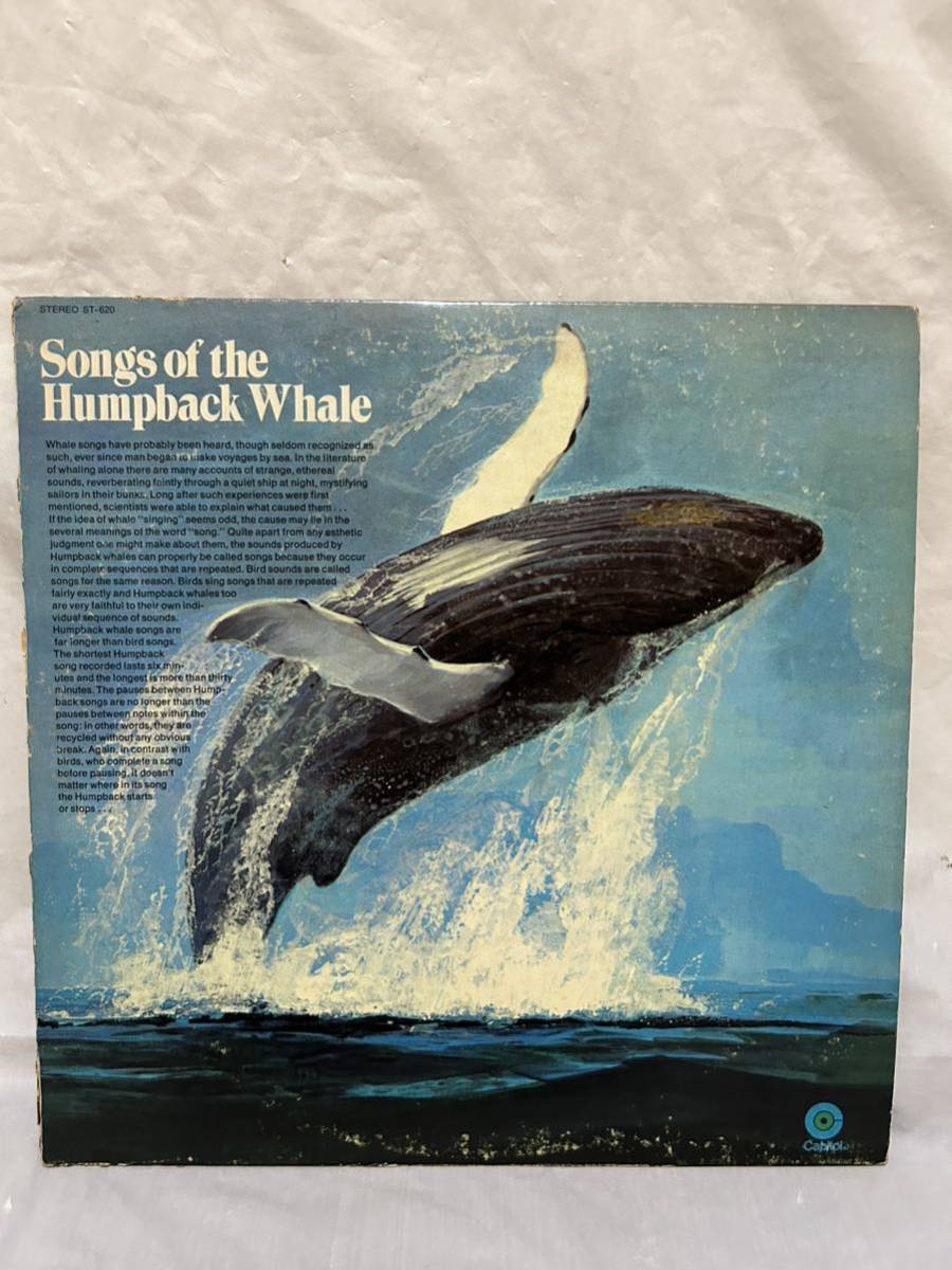 ◎P566◎LP レコード SONGS OF THE HUMPBACK WHALE ざとう鯨の歌 バミューダ沖で録音/ST-620/US盤_画像1