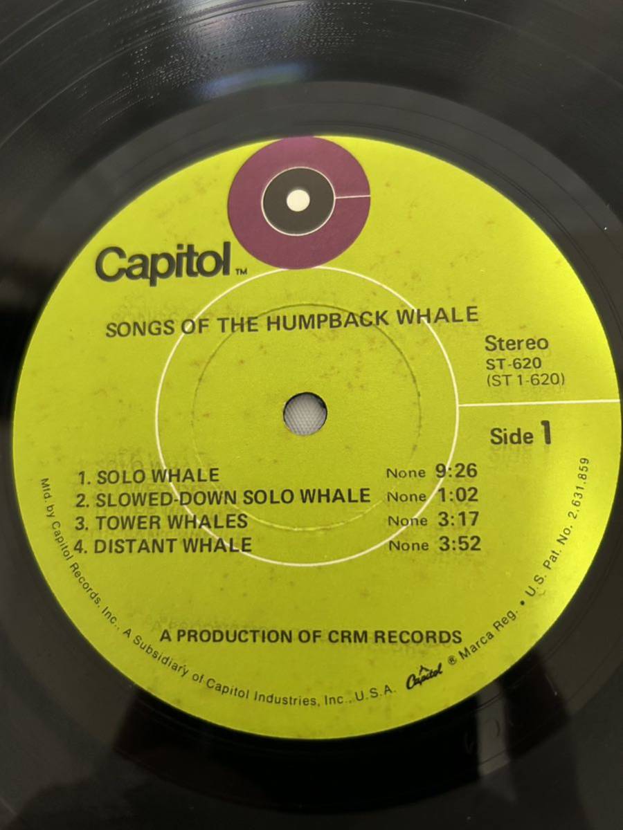 ◎P566◎LP レコード SONGS OF THE HUMPBACK WHALE ざとう鯨の歌 バミューダ沖で録音/ST-620/US盤_画像4