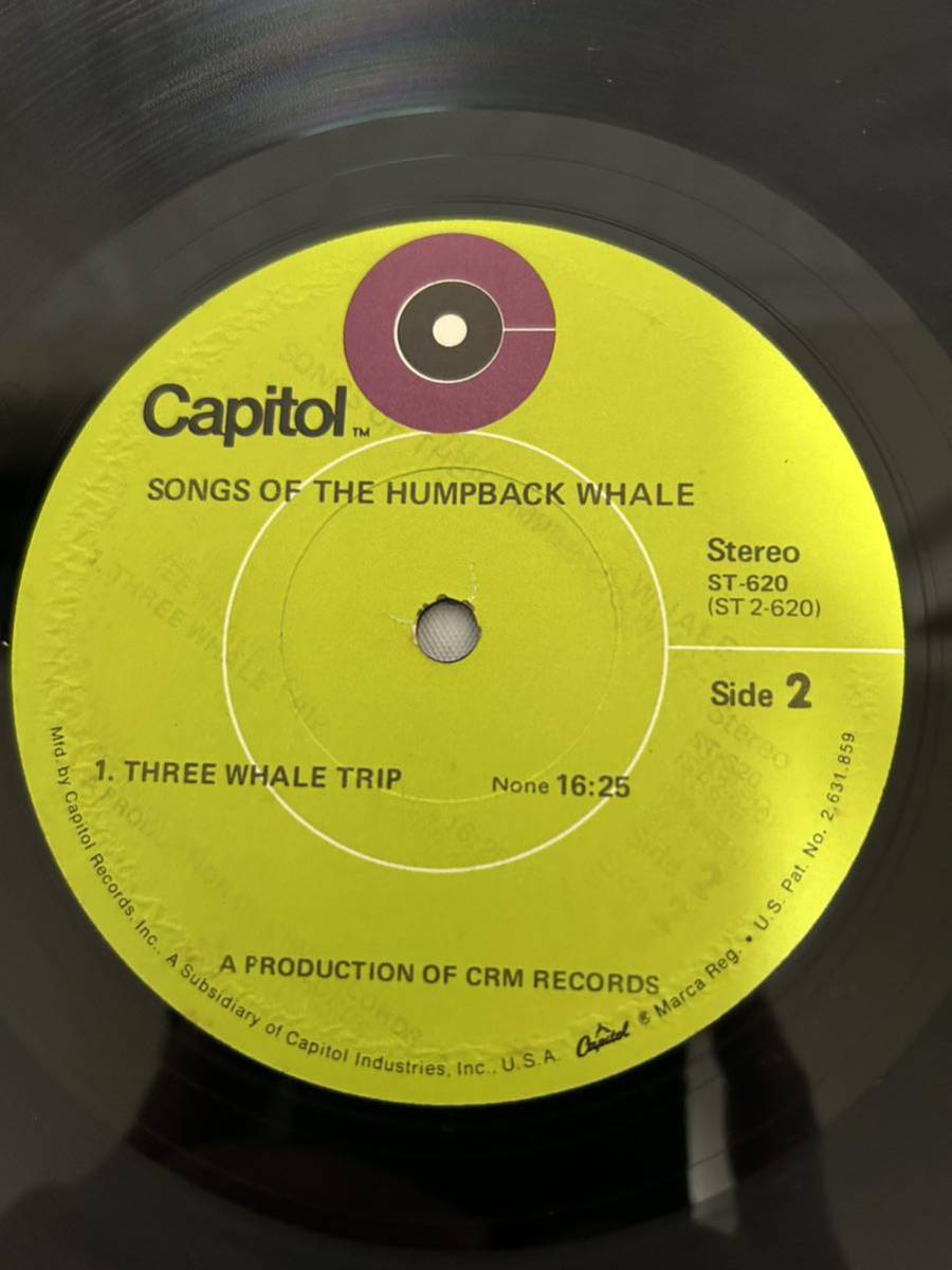 ◎P566◎LP レコード SONGS OF THE HUMPBACK WHALE ざとう鯨の歌 バミューダ沖で録音/ST-620/US盤_画像6