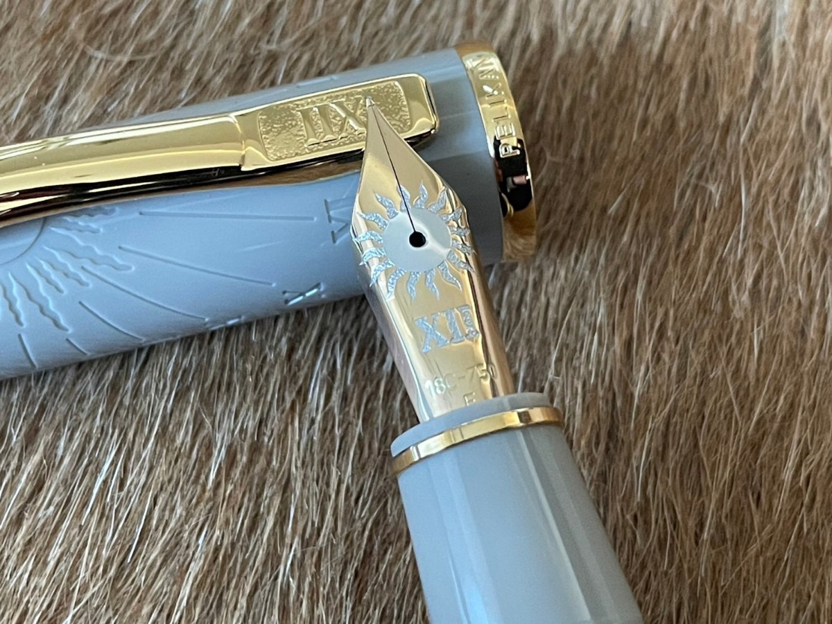  new goods unused PELIKAN/ pelican fountain pen CALCULATION OF TIMES/karukyu ration ob time 