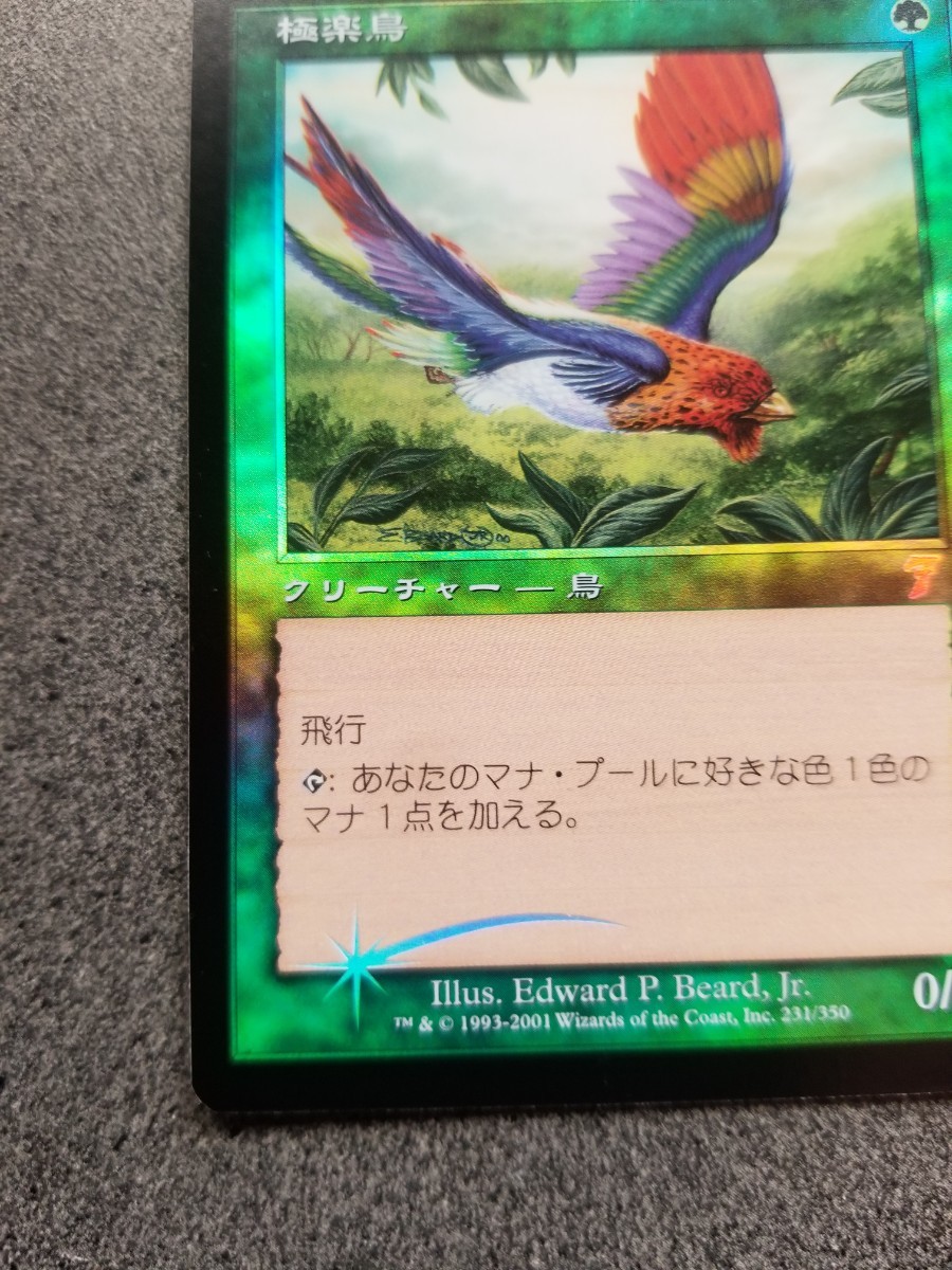 51180円 ワンオーナー MTG 極楽鳥 foil 7版 日本語 黒枠 おまけ 51180円 ワンオーナー MTG 極楽鳥 foil 7版 日本語 黒枠 おまけ
